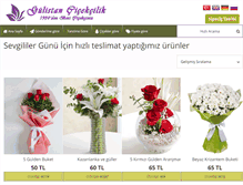 Tablet Screenshot of gulistancicek.com